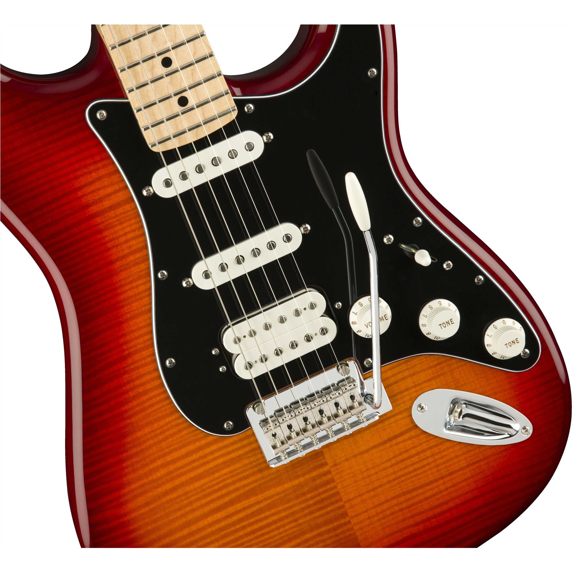 2日間限定】フェンダーPlayer Plus Stratocaster HSS+