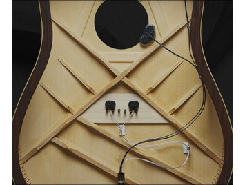 LR Baggs Acoustic Guitar Pickups