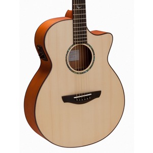 Faith Natural Series - FV Venus Cutaway Electro