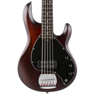 Sterling By Musicman RAY5 5 String Active Bass Guitar - Walnut Satin