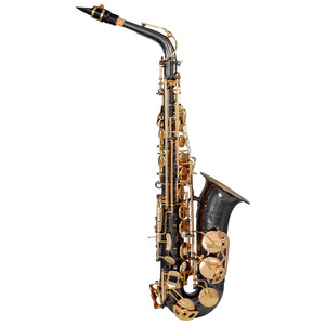 Trevor James Evo Alto Saxophone - Black Plated / Gold Lacquer Keywork