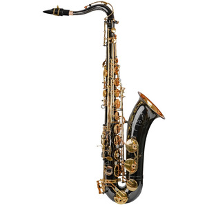 Trevor James Evo Tenor Saxophone - Black Plated / Gold Lacquer Keywork