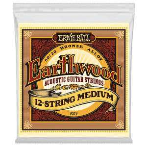 Ernie Ball 2012 Earthwood 12 String Medium