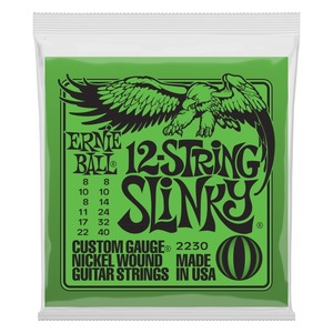 Ernie Ball Slinky 12 String