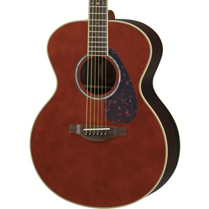 Yamaha LJ6 Acoustic Guitar  - Dark Tinted