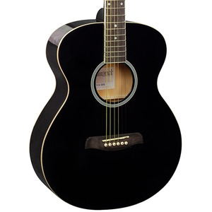Brunswick BF100 Auditorium Acoustic  - Black