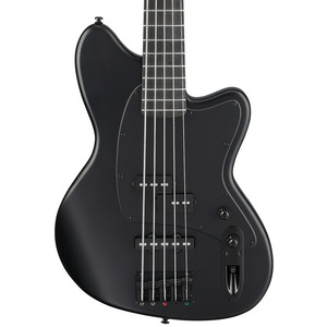 Ibanez Talman TMB425B 5-String Bass - Black Flat