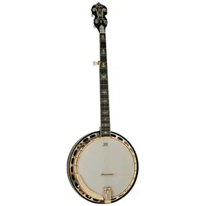 Washburn B17 Banjo
