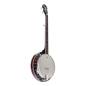 Ozark 5 String Electric Banjo inc Padded Gig Bag
