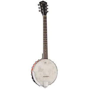 Washburn B6 Banjo