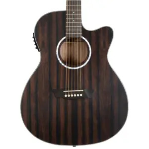 Washburn Deep Forest EBONY D Dreadnought Acoustic Guitar