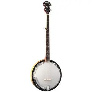 Washburn B9 Banjo