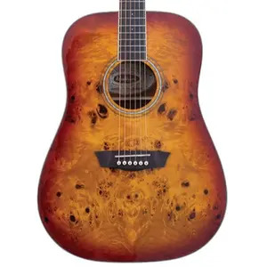 Washburn Deep Forest BURL D Dreadnought Acoustic Guitar