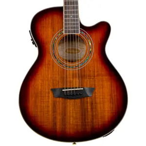 Washburn Festival EA55G Mini Jumbo Electro Acoustic Guitar 