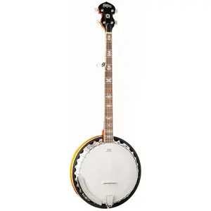 Washburn B10 Banjo