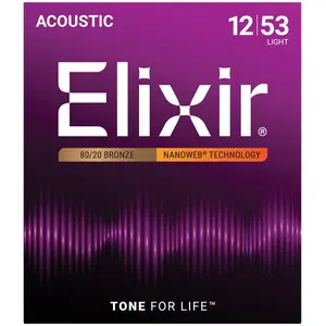 Elixir Nano Web 80/20 Bronze Acoustic Light 12-53