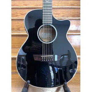 SECONDHAND Faith FECV12 Eclipse Venus 12-String Electro Acoustic inc. Gig Bag * No Electrics*