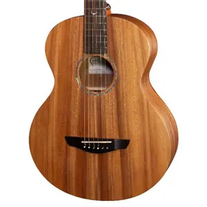 Faith Nomad Series FDNETB MINI Neptune Electro - Trembesi