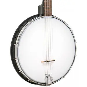 Gold Tone 19-Fret Acoustic Composite 4-String Openback Tenor Banjo with Gig Bag