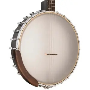 Gold Tone 19-Fret Irish Tenor Banjo with Gig Bag