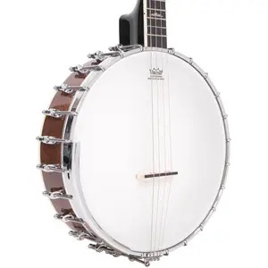 Gold Tone 17-Fret Irish Tenor Banjo with Hard Case