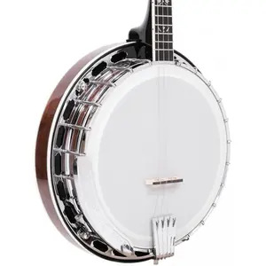 Gold Tone Mastertone 17-Fret Irish Tenor Banjo with Flanger & Case 