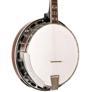 Gold Tone 19-Fret Tenor Special Resonator Banjo
