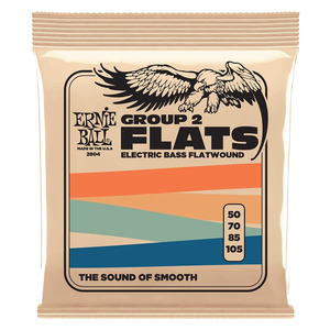 Ernie Ball Stainless Steel Flatwound Bass Strings - Flatwound - 50-105