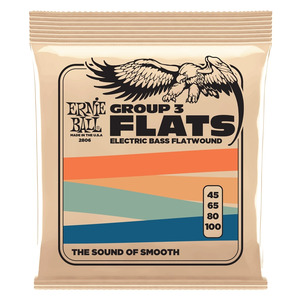 Ernie Ball Stainless Steel Flatwound Bass Strings - Flatwound - 45-100