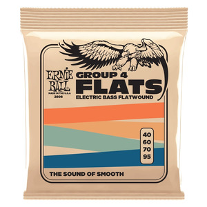 Ernie Ball Stainless Steel Flatwound Bass Strings - Flatwound - 40-95