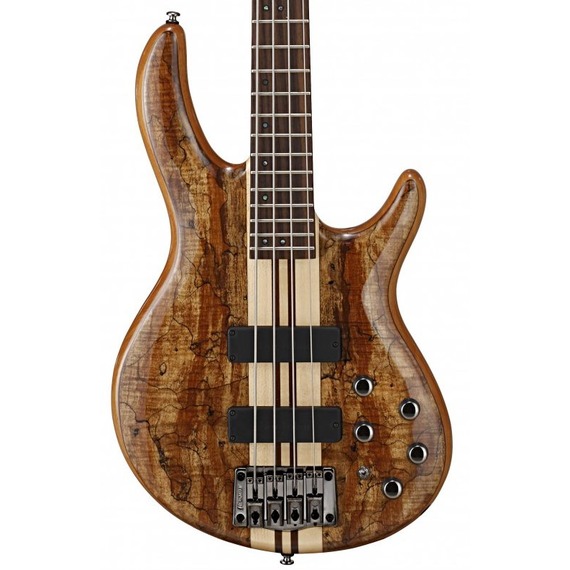 Cort A4 Custom SP 4-String Bass - Spalted Maple