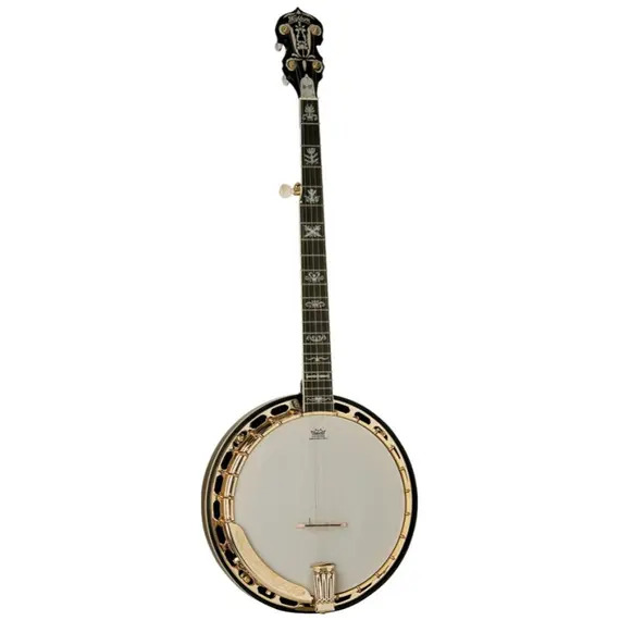 Washburn B17 Banjo