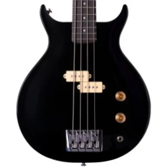 Washburn SB4 Scavenger Bass