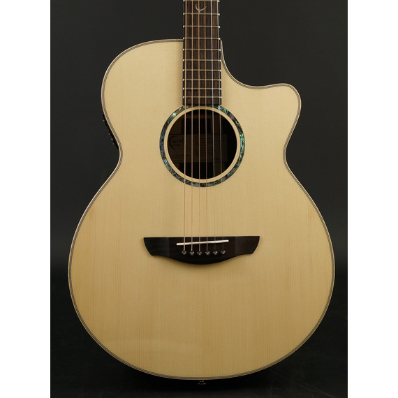 Faith High Gloss Series - FVHG3 Venus Cutaway Electro