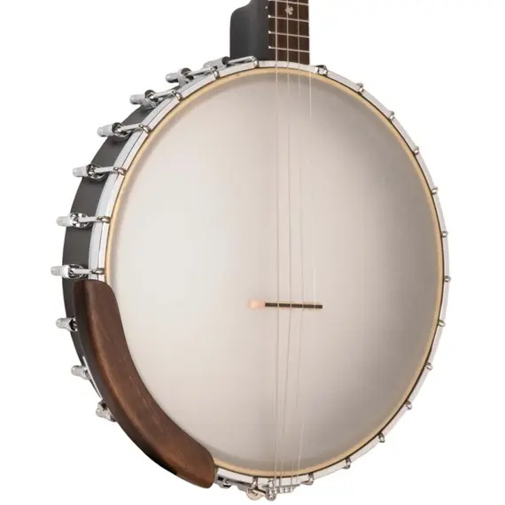Gold Tone 19-Fret Irish Tenor Banjo with Gig Bag