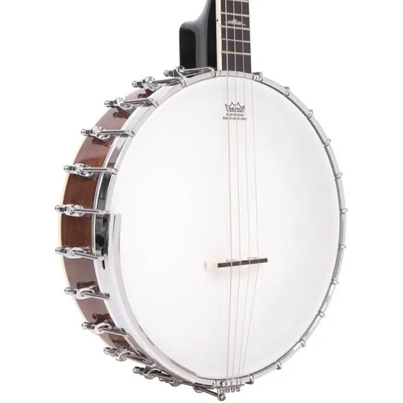 Gold Tone 17-Fret Irish Tenor Banjo with Hard Case