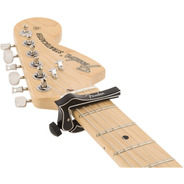 Fender Dragon Capo