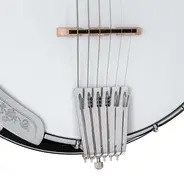 Gold Tone 6-String Deluxe Banjitar 
