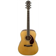 Fender Paramount PM1 Standard Dreadnought - All-Solid Electro Acoustic - Natural