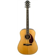 Fender Paramount PM1 Deluxe Dreadnought - All-Solid Electro Acoustic - Natural