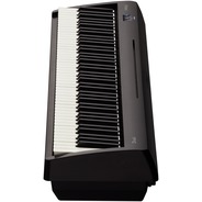 Roland FP10 Compact Digital Piano