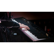 NUX NPK-20 Professional Digital Piano