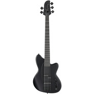 Ibanez Talman TMB425B 5-String Bass - Black Flat