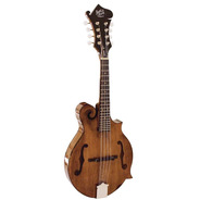 Barnes And Mullins Salvino BM650 Mandolin
