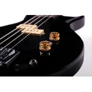 Washburn SB4- Scavenger Bass