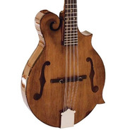 Barnes And Mullins Salvino BM650 Mandolin