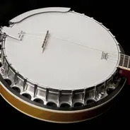 Washburn B9 Banjo