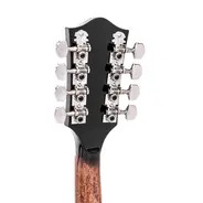 Gold Tone Mandolin-Banjo with Gig Bag