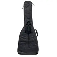 Ritter Bern BCR Warlock/JrV/Bich Gig Bag (RGB4-EWB) - Anthracite