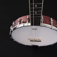 Washburn B7 Banjo
